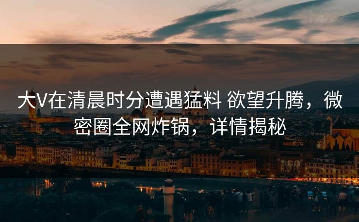 大V在清晨时分遭遇猛料 欲望升腾，微密圈全网炸锅，详情揭秘